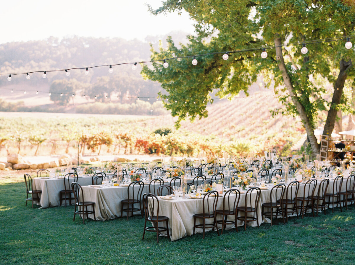 Hammersky_Vineyards_Paso_Robles_Wedding_062
