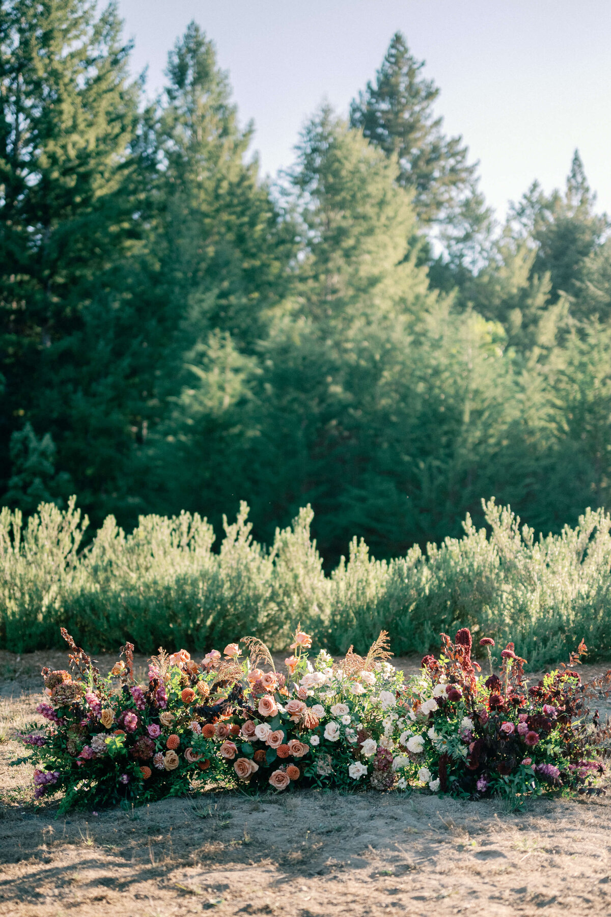 Sydalyn Hill - Felton Wedding - Santa Cruz Florist - Carmel Florist - Autumn Marcelle Design (396)