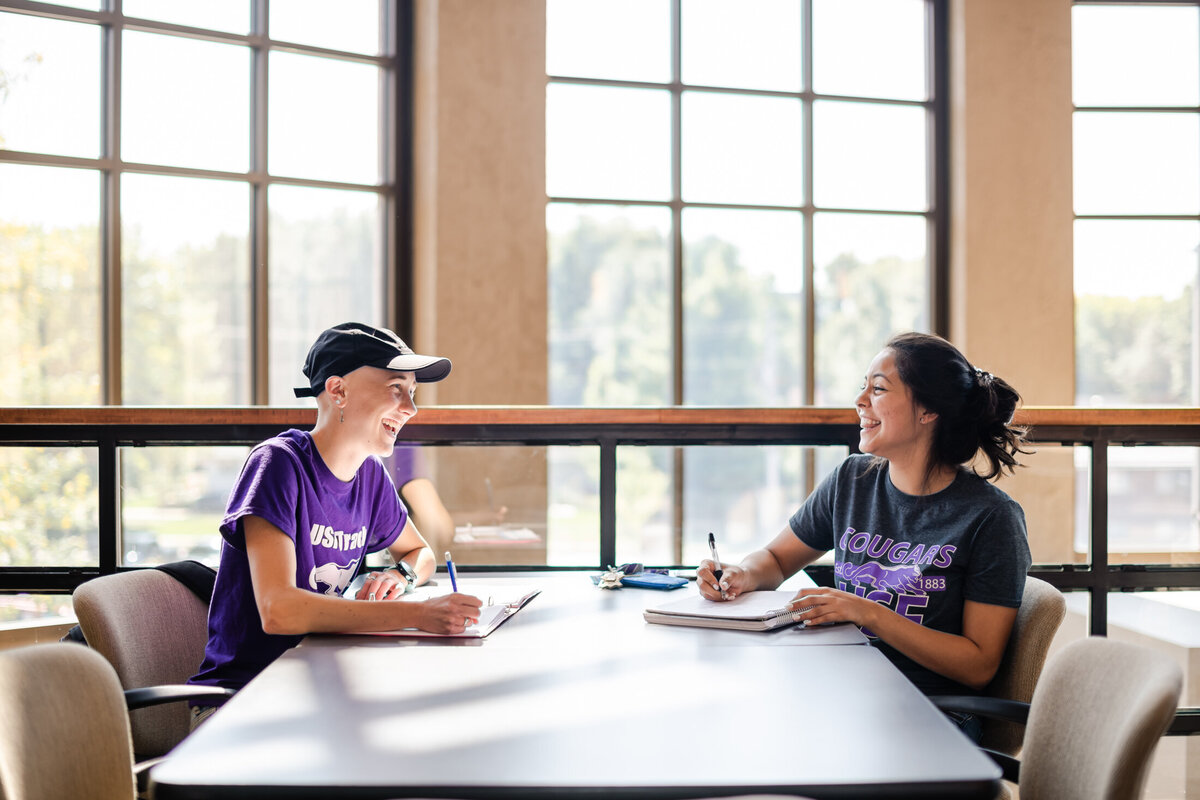 usf branding - 2019 - web res-304