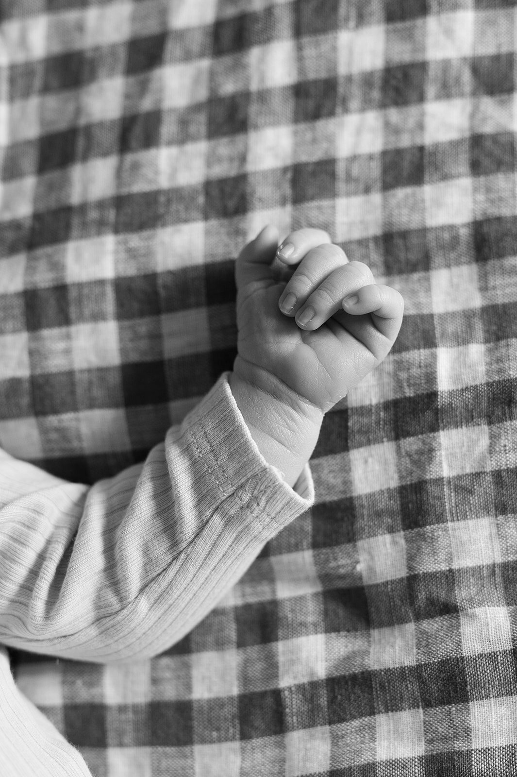 Audrey Newborn-62