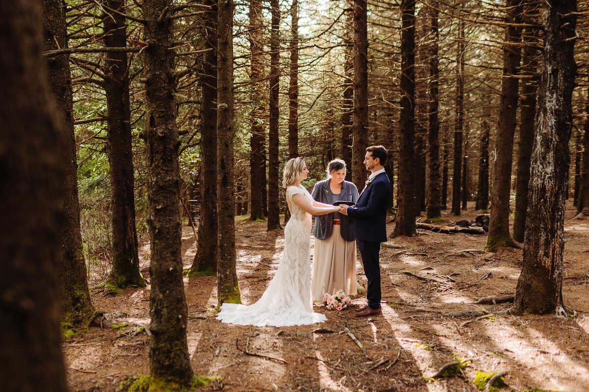 Black-Balsam-NC-Elopement-55
