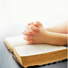 proverbs31mentor.com logo
