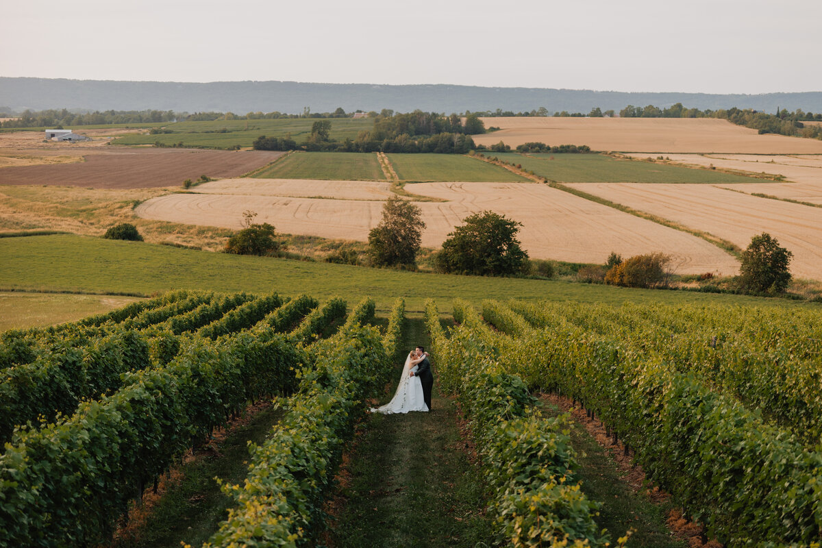 20250726_Jen+Iain_Wedding_Previews_Dave_and_Pring_Photography_Planters_Ridge_Port_Williams_Nova_Scotia_91