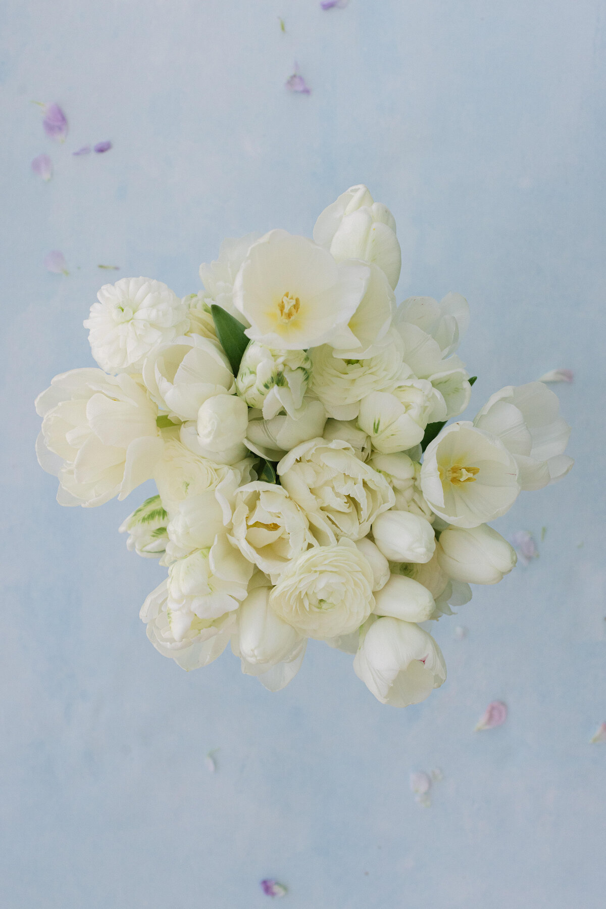 maggiejeffbethanymichaela-37