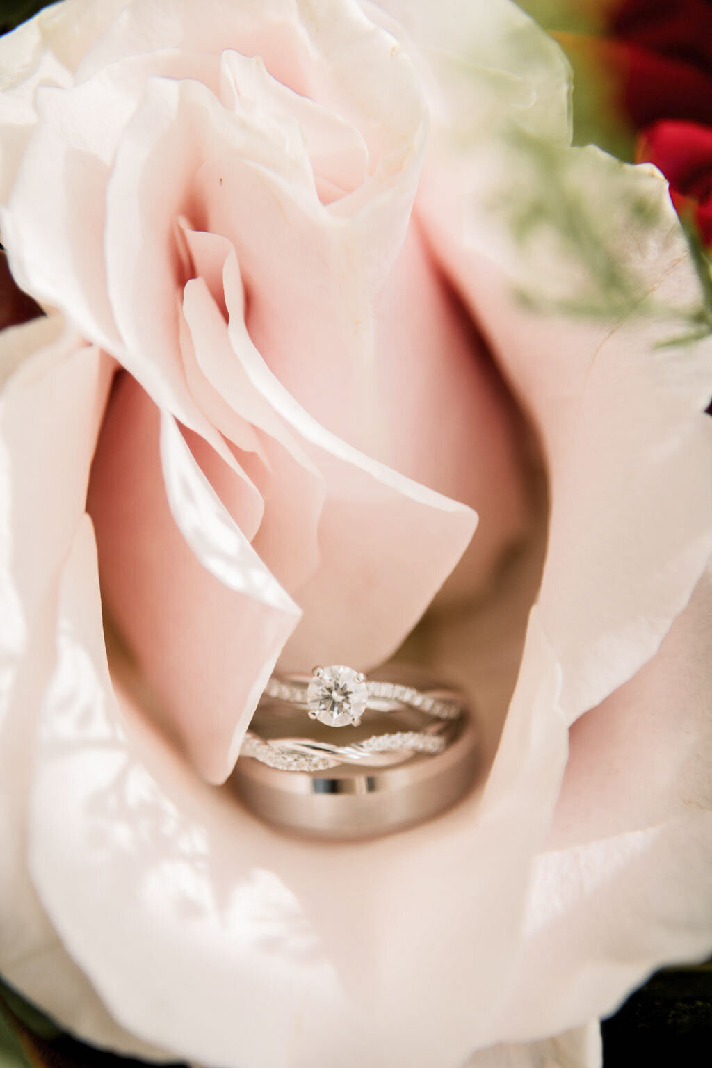 111 - HundredsofMoments-Jessica&Kevin-Details-1797-221112-19