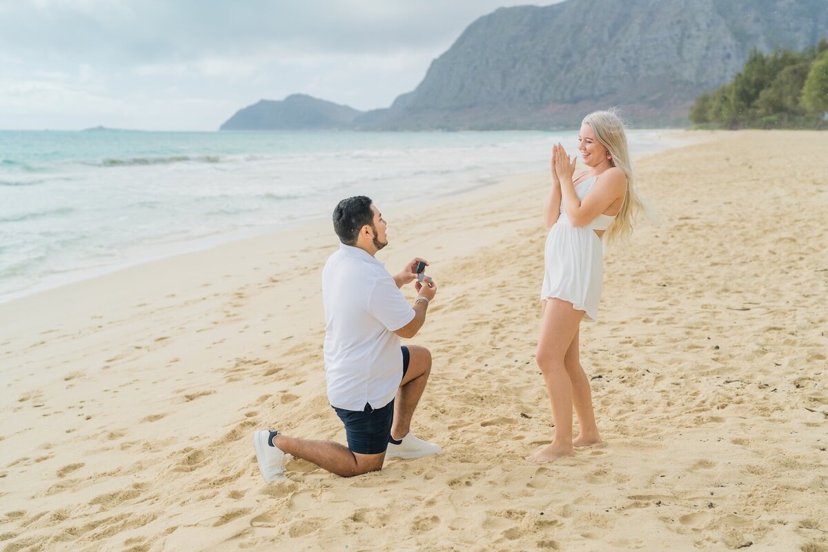 Pristine beach for Hawaii Proposal 