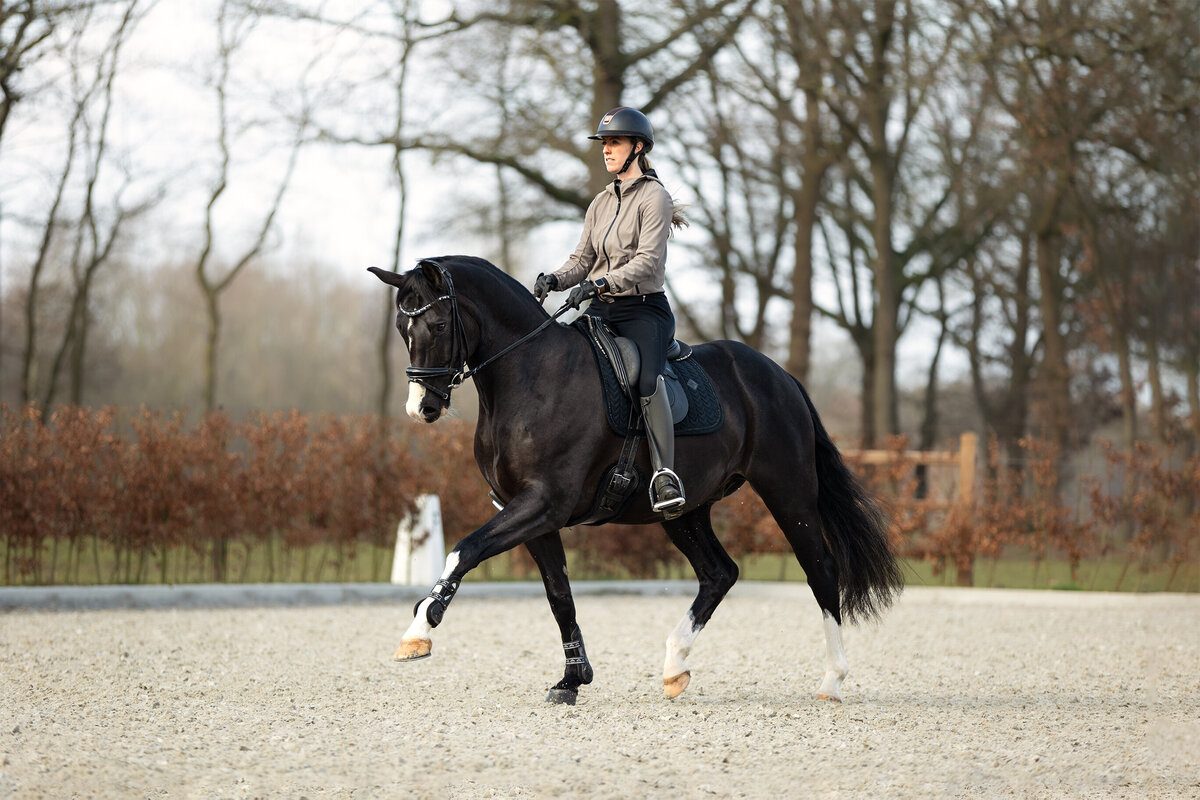 Log my horse 9 - LR