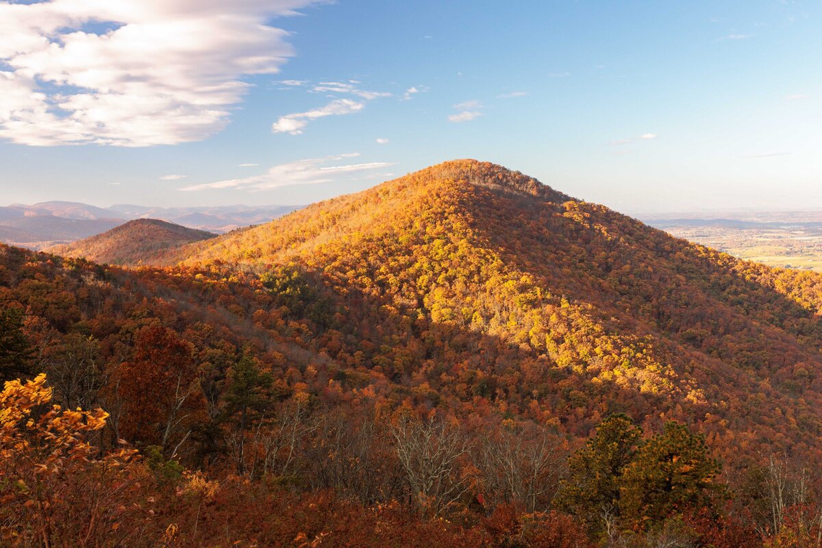 2x3_Lowres_TurkMtnFall-8411