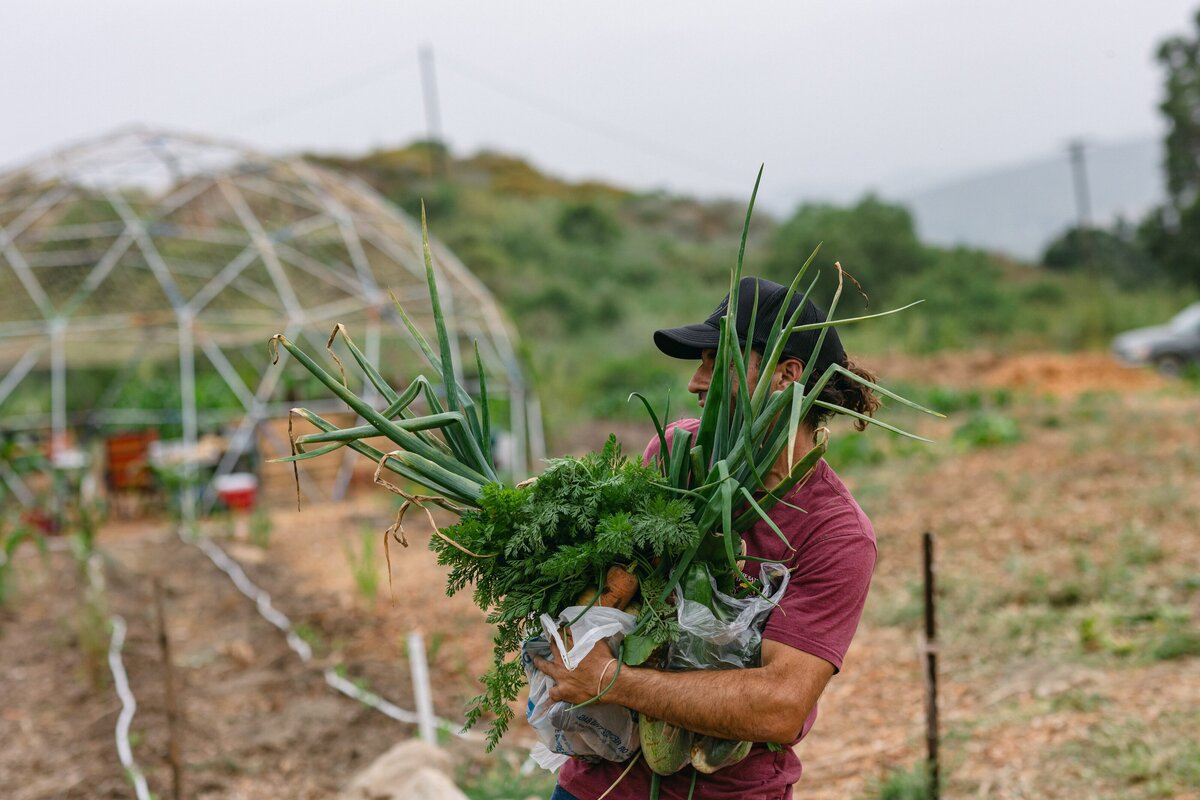 Leap-Lab-Science-Farm-Ventura-California-Santa-Paula-Non-Profit-0023