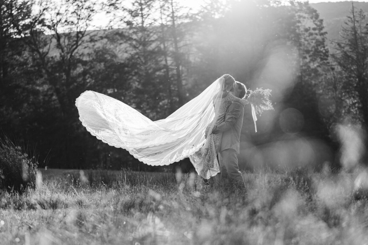 Black and white Catskills wedding photo of a couple kissing in a field as the veil catches the wind