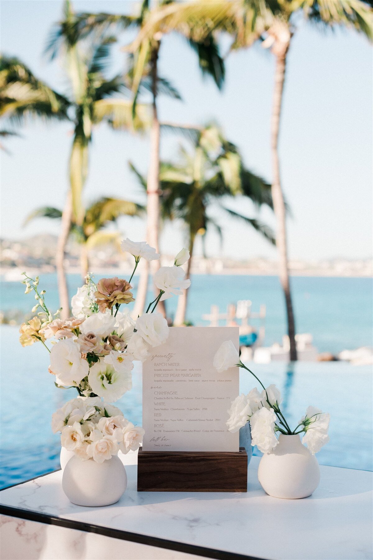 One&Only Cabo Wedding-Valorie Darling Photography-_MLP0955