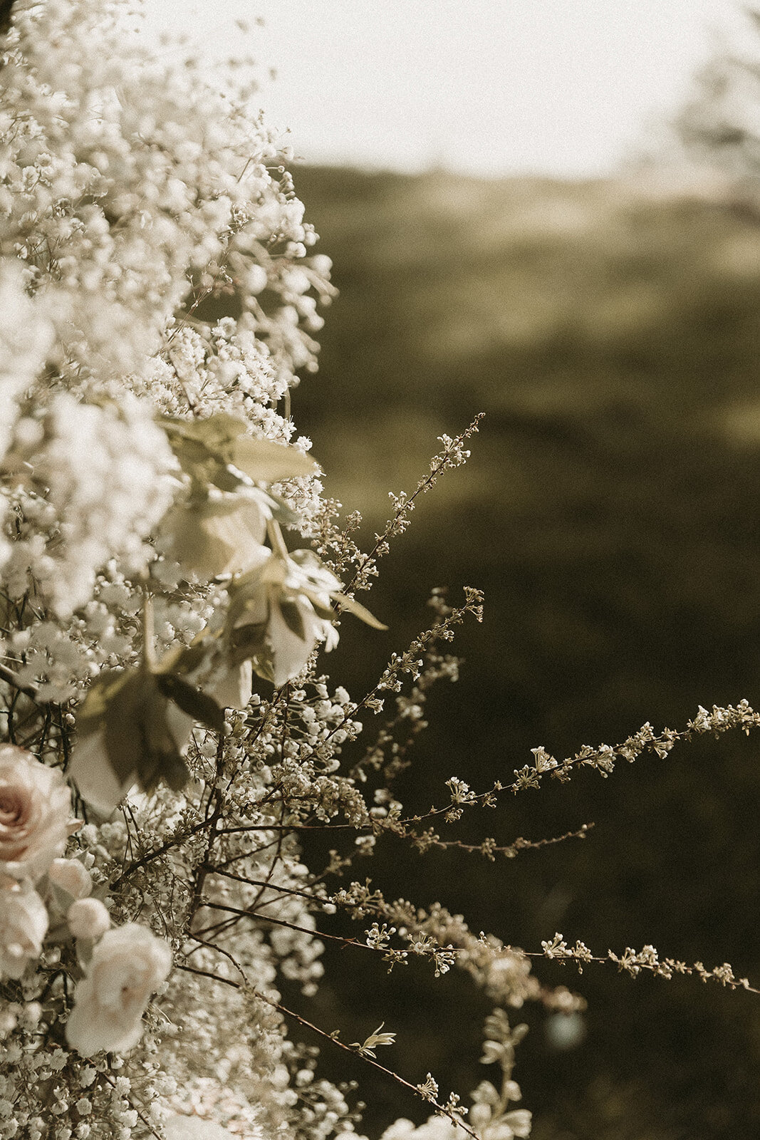 AbbyReePhotography-CrookPointElopement-236_websize