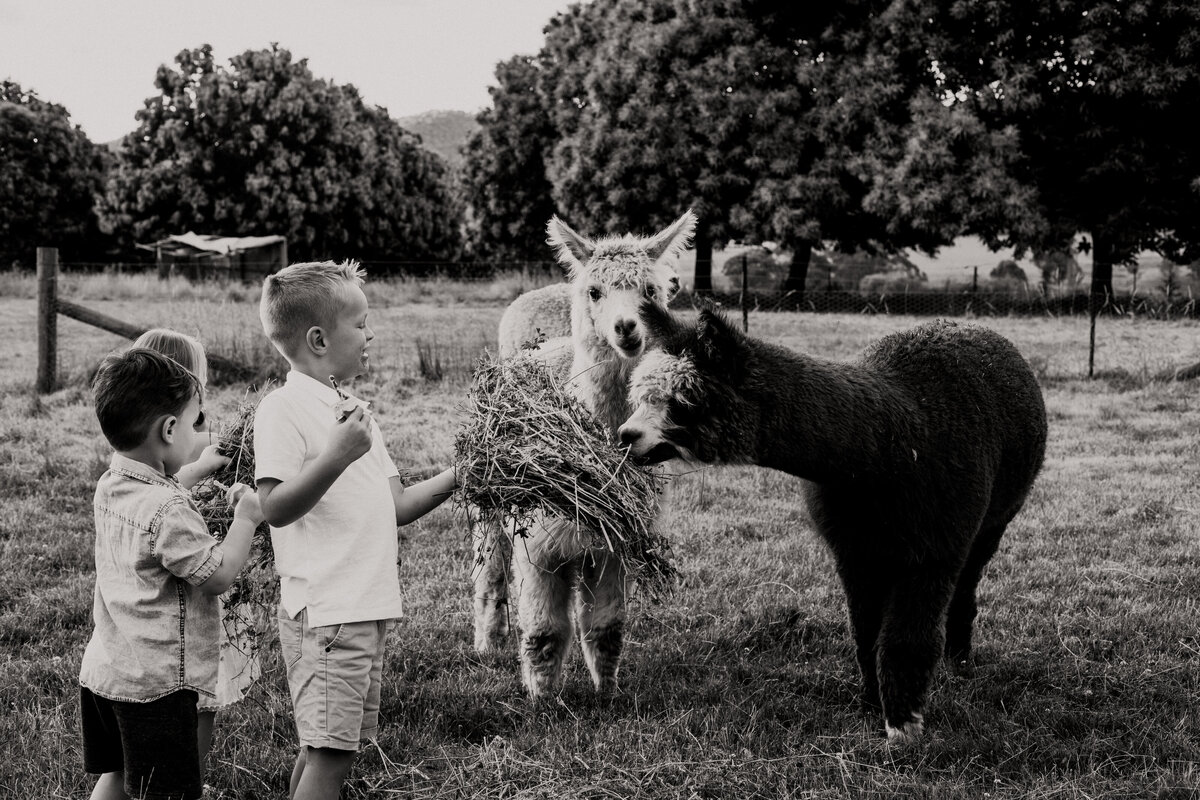 CHALWELL FAMILY - Dec 2021 BW JessicaCarrollPhotographer-42