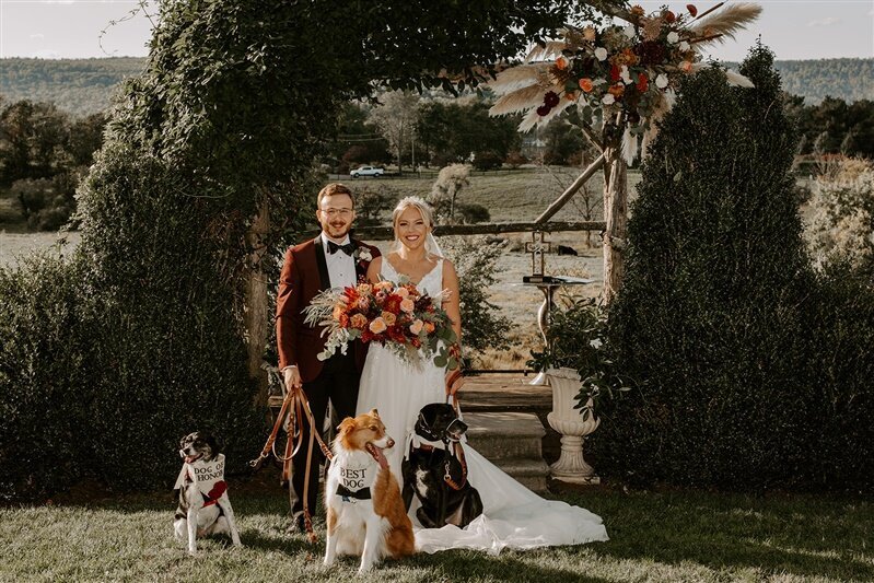 Bride and groom with dogs in front of the ceremony arch