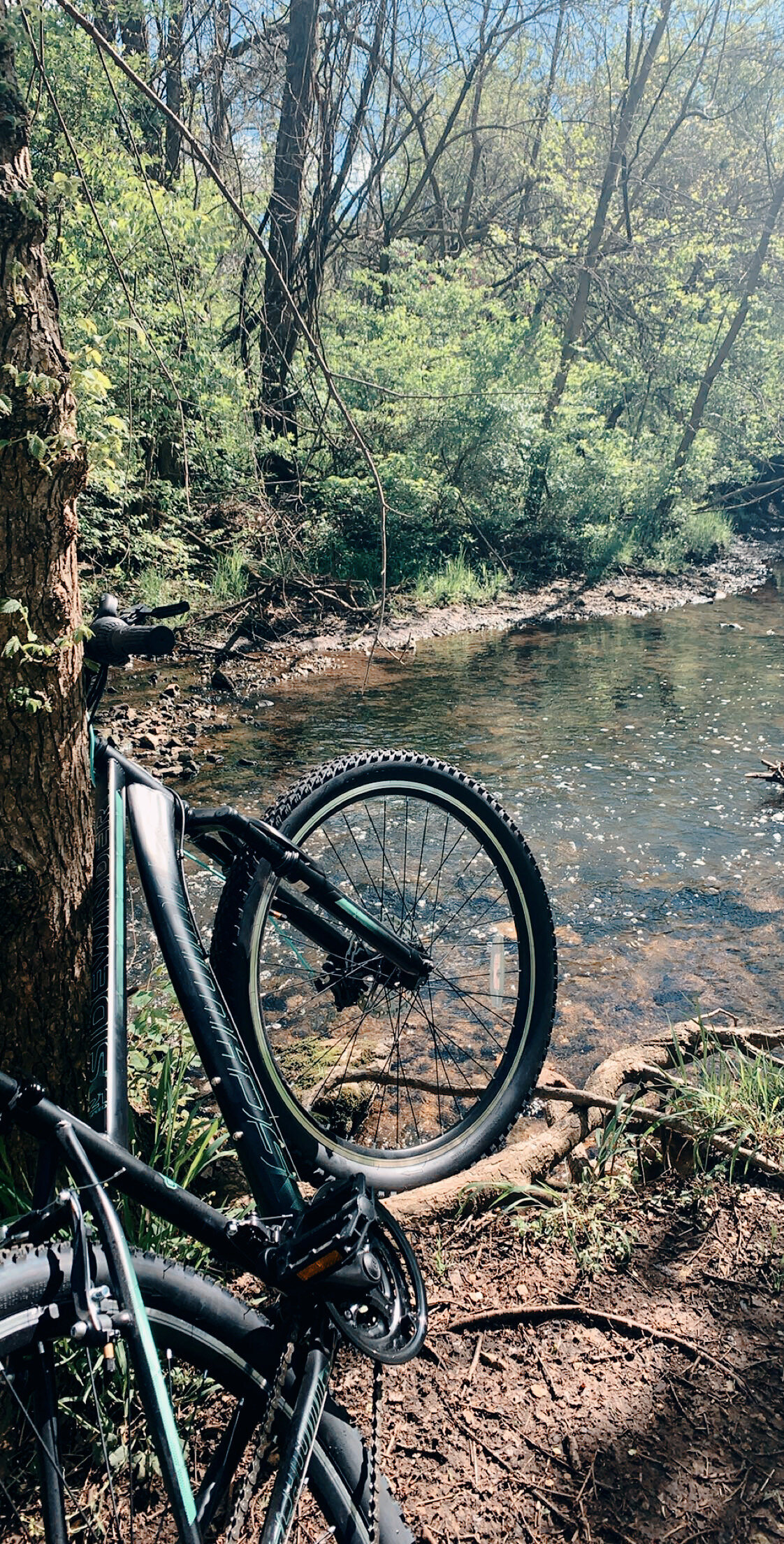 F3B6AA53-E098-4AFC-A600-F6897CE8088B 2