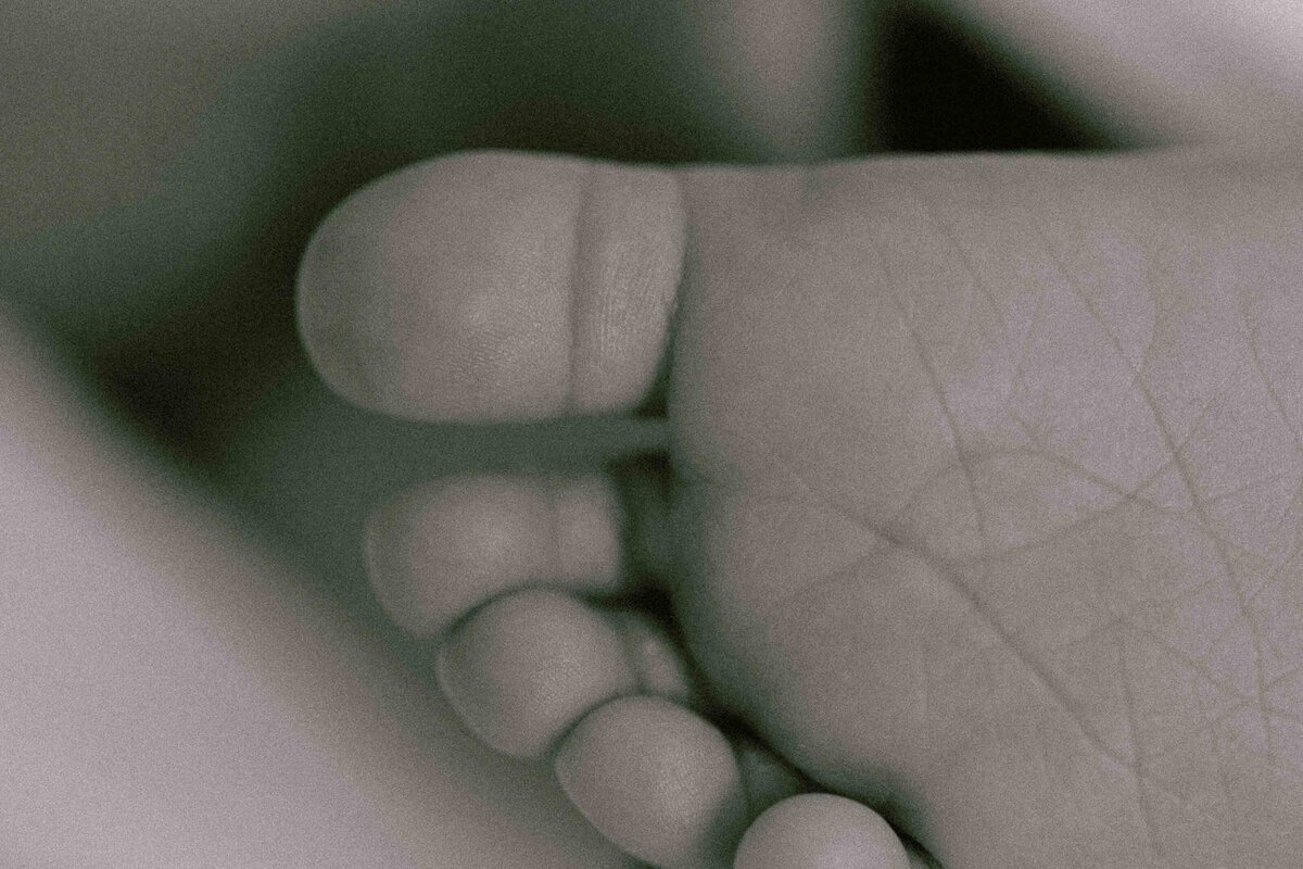fresh baby toes