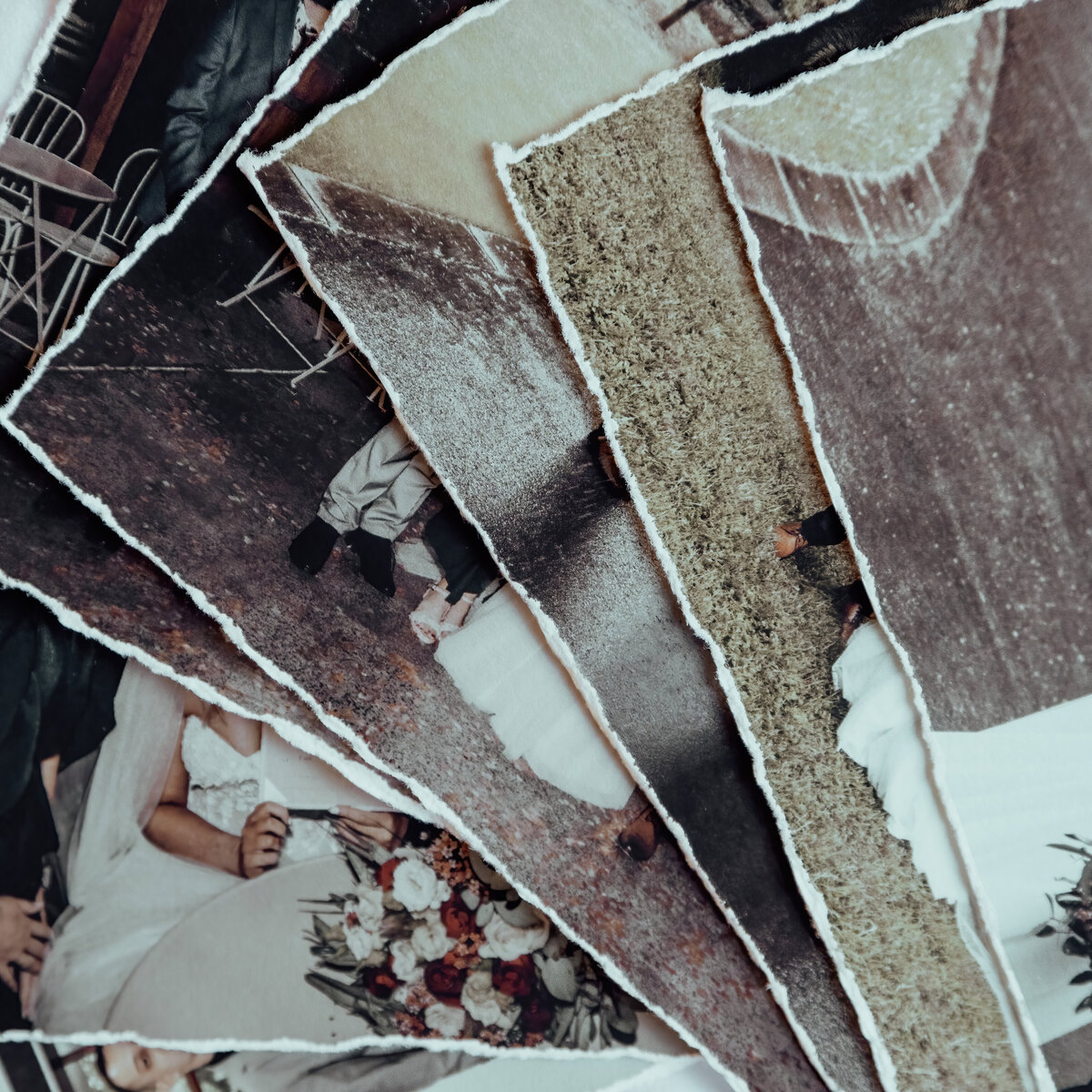 FullBloom_SeldexAlbums2024_-17