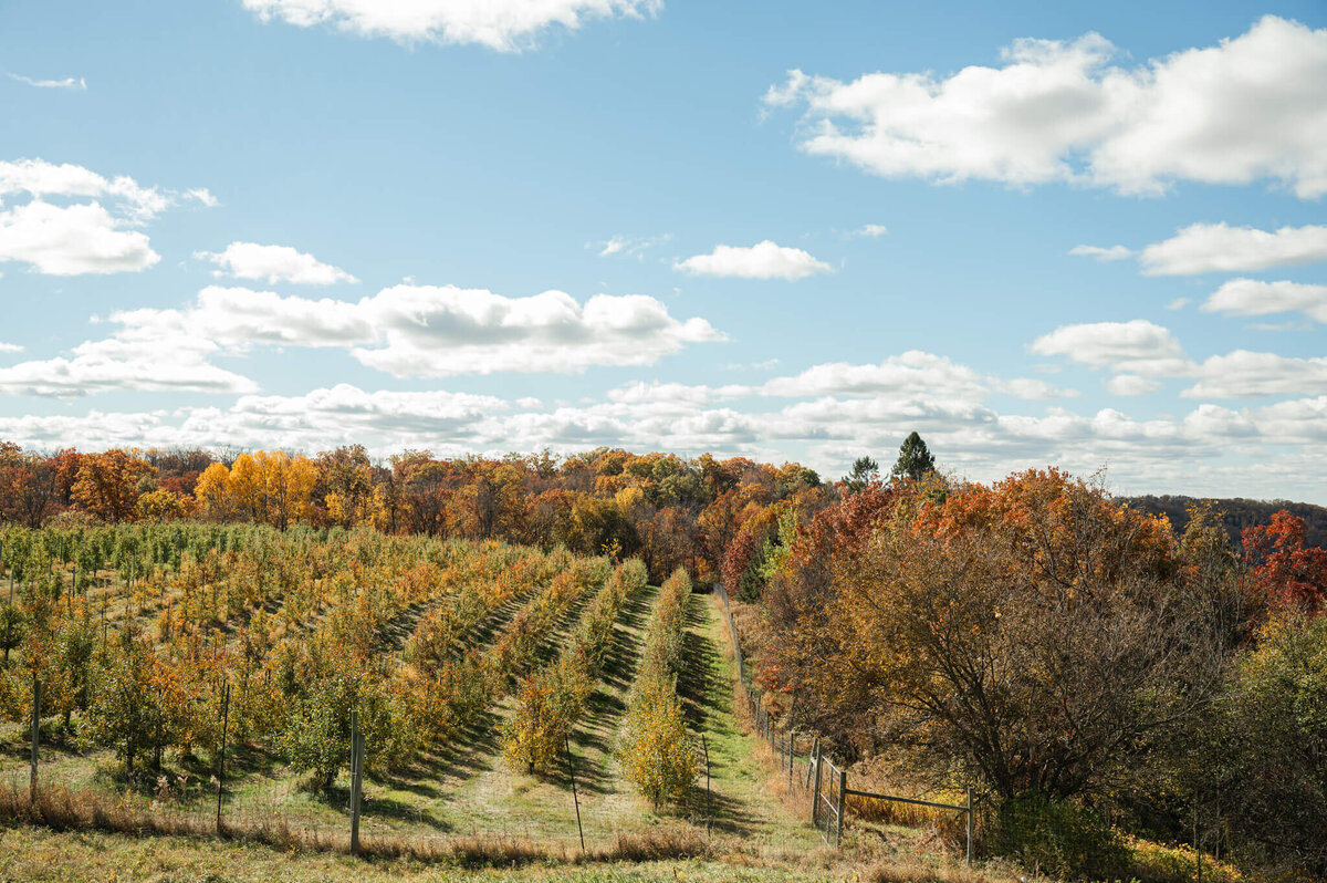 Oakwood-Fruit-Farm-Apple-Orchard-Richland-Center-Wisconsin-6