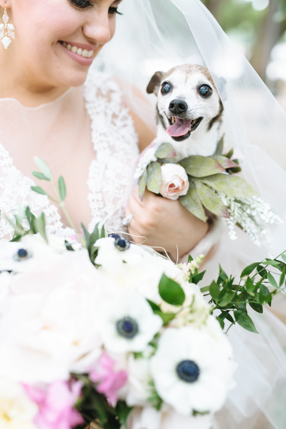 dogs should be in weddings! puppy at a houston wedding photography by smith house photo