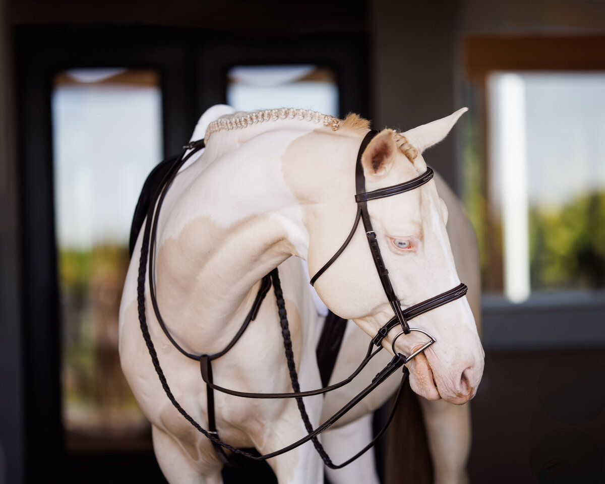 shires25