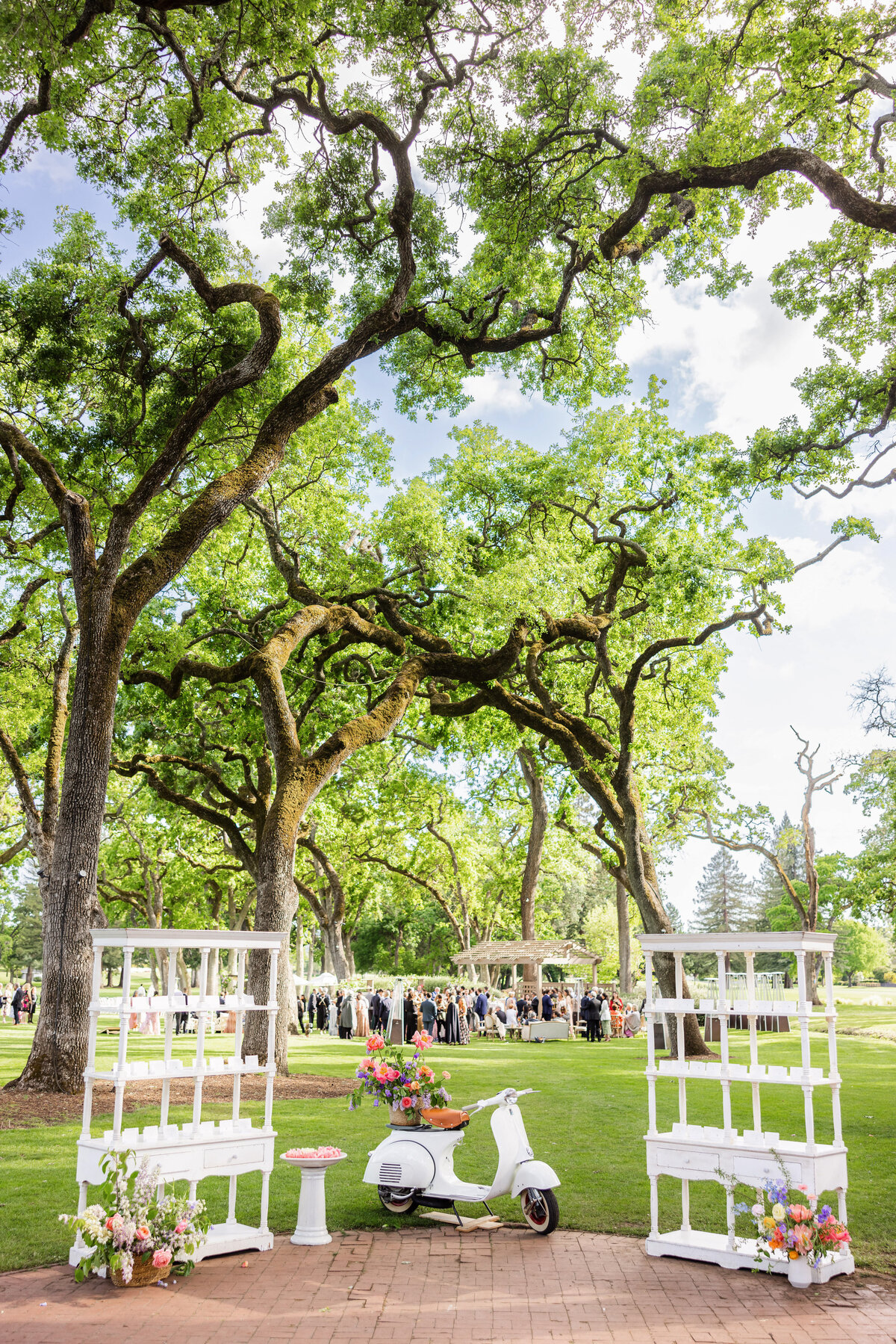 Gallery  - Napa Valley - Danielle & Gianluca_danielle_gianluca_napa_wedding_photos-110
