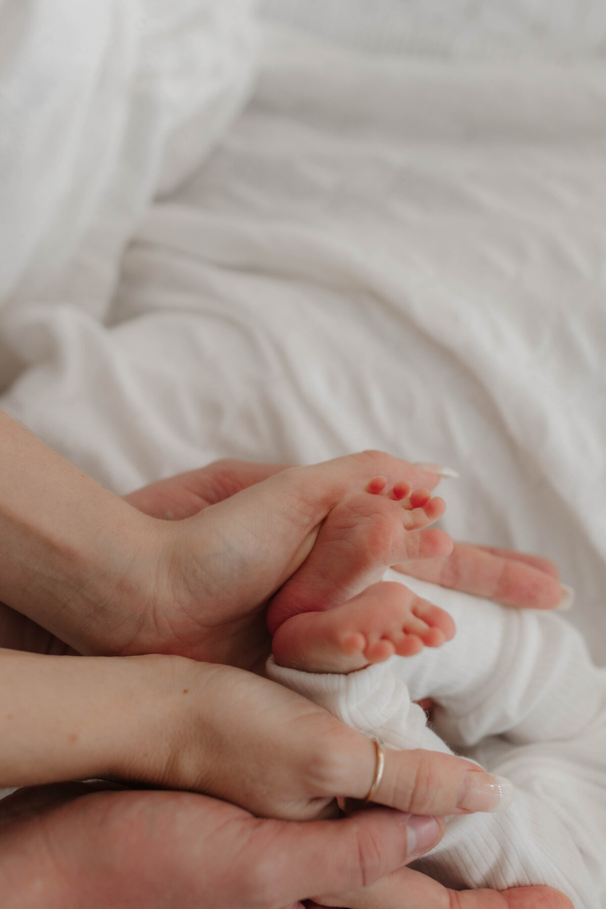 newborn photography cairns