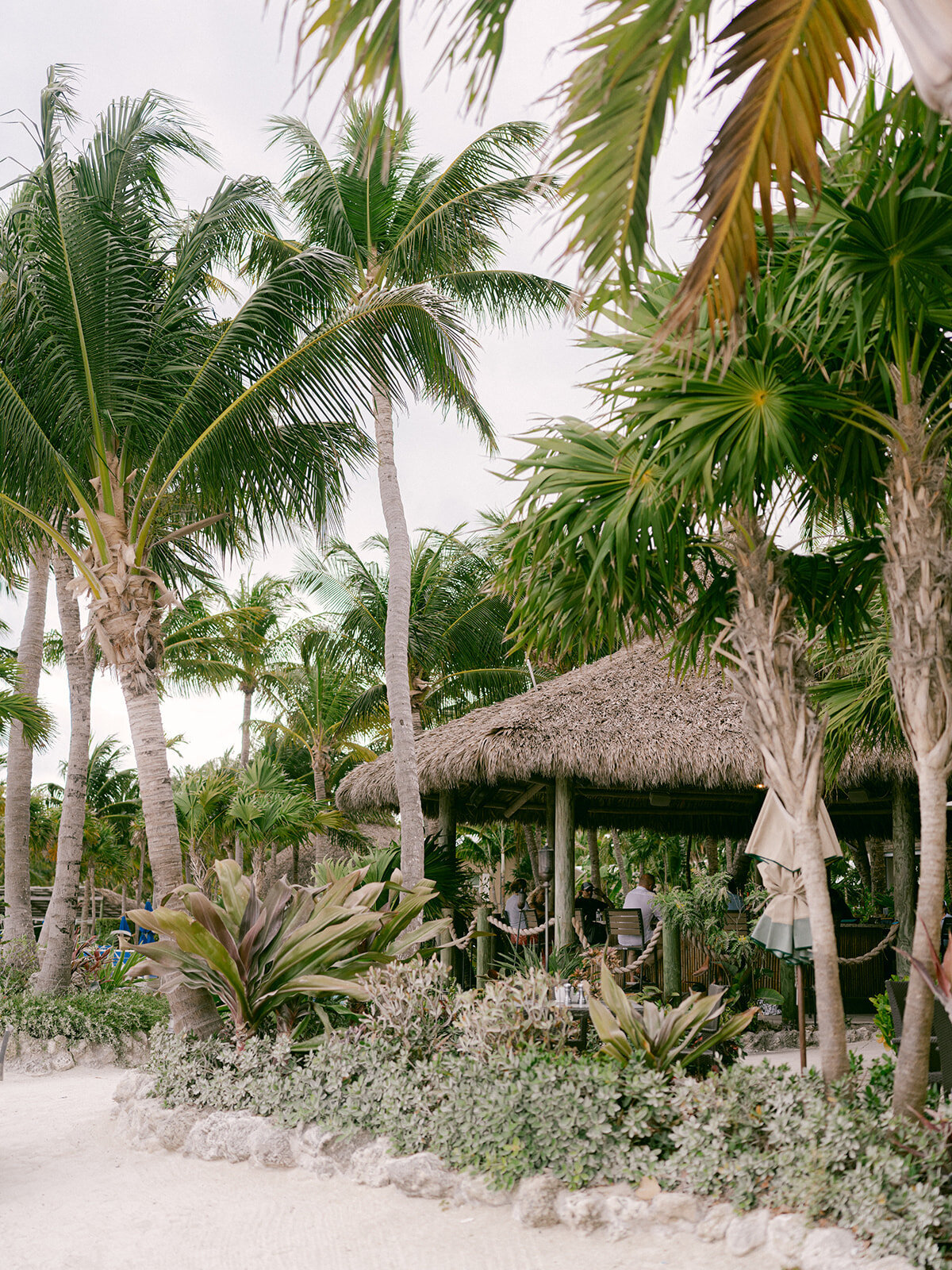 Melissa + Jason Previews _ Lauren Galloway Photography-2