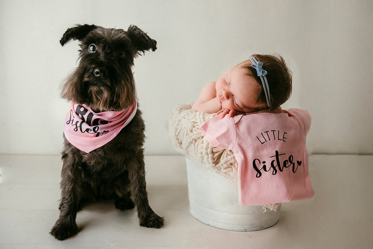 sacramento-newborn-photography-composite