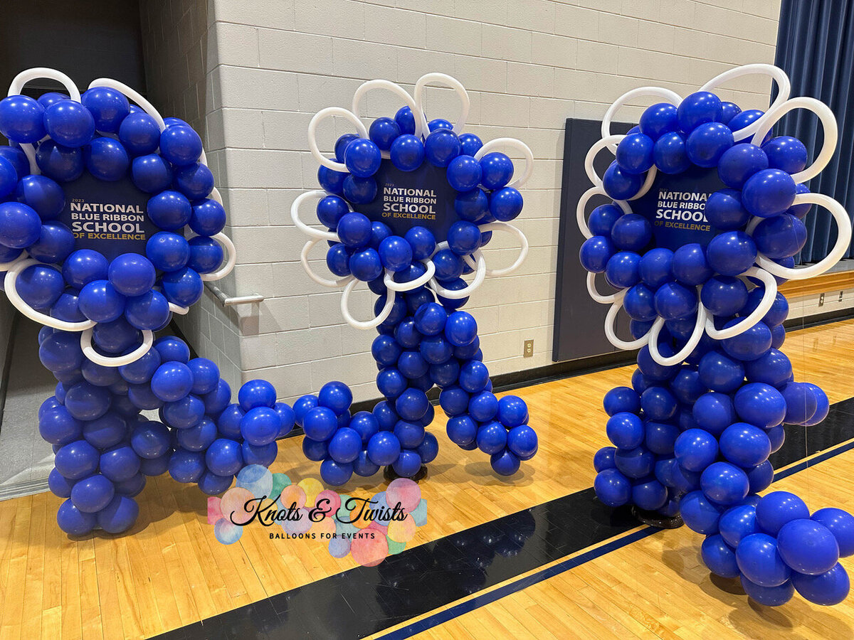 BLUE RIBBON SCHOOL celebration Sterling1