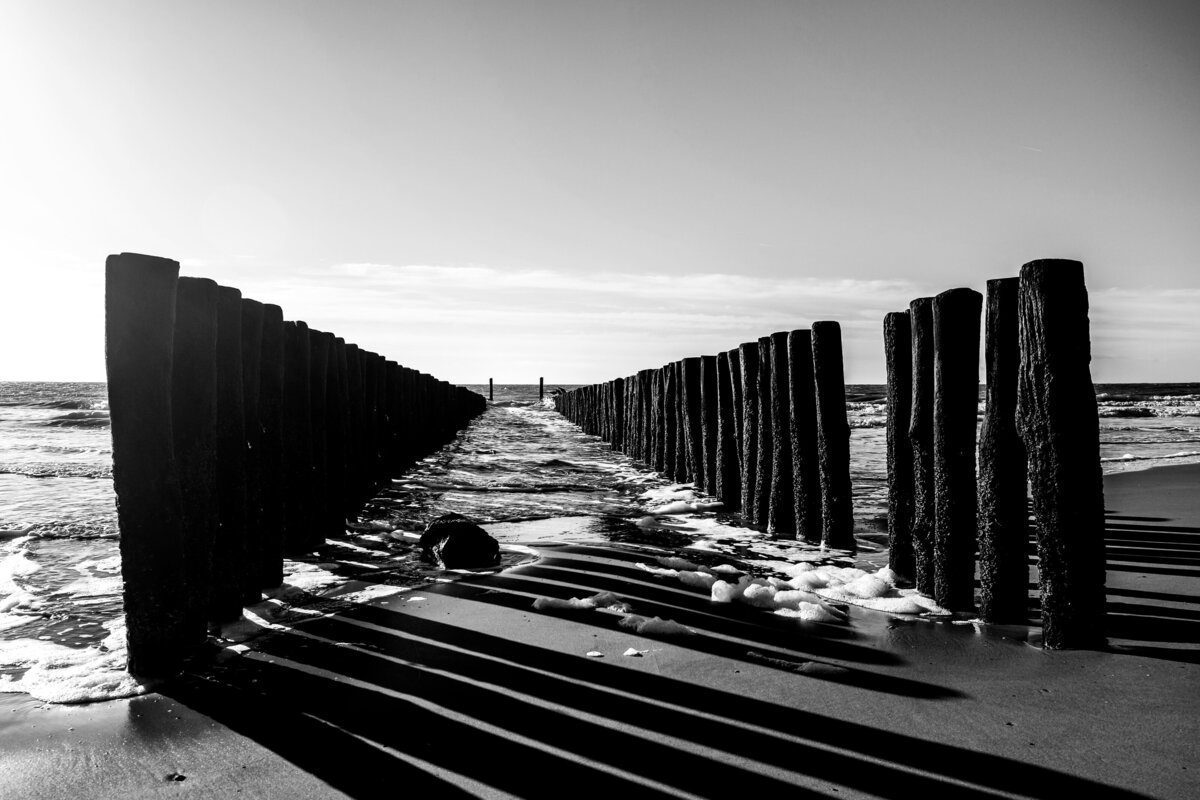 STUDIO JULLES X ZEELAND 1