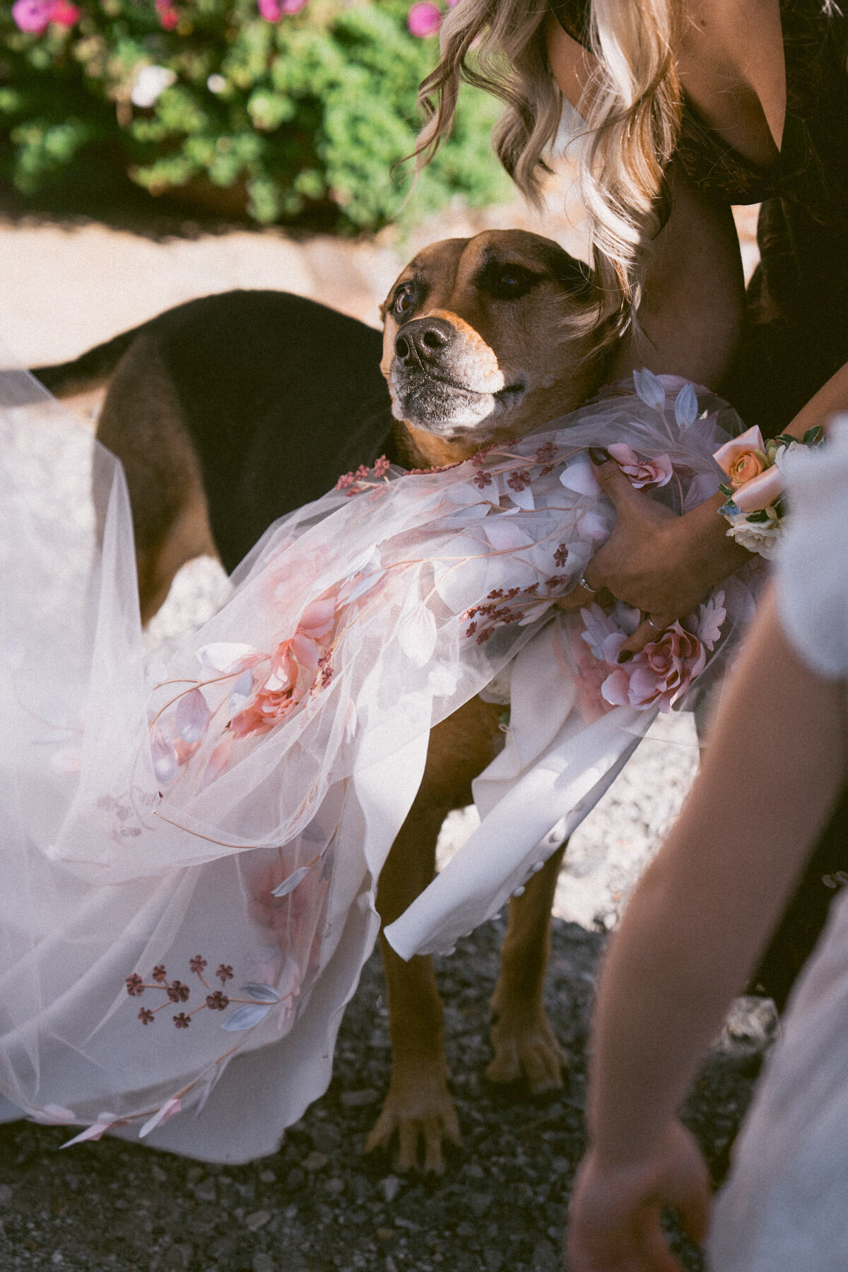 winnipegweddingphotographer-43