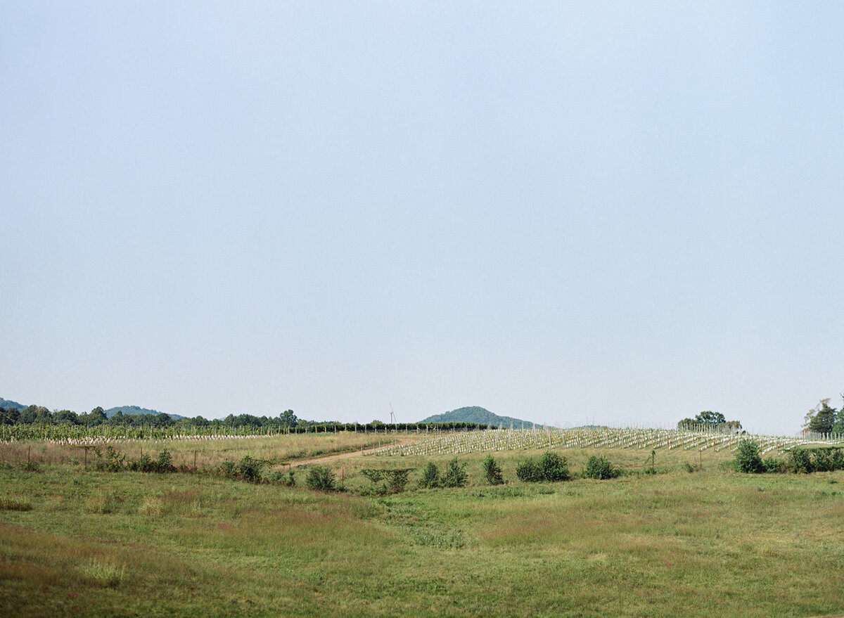 EARLY-MOUNTAIN-VIRGINIA-wedding-photographer037