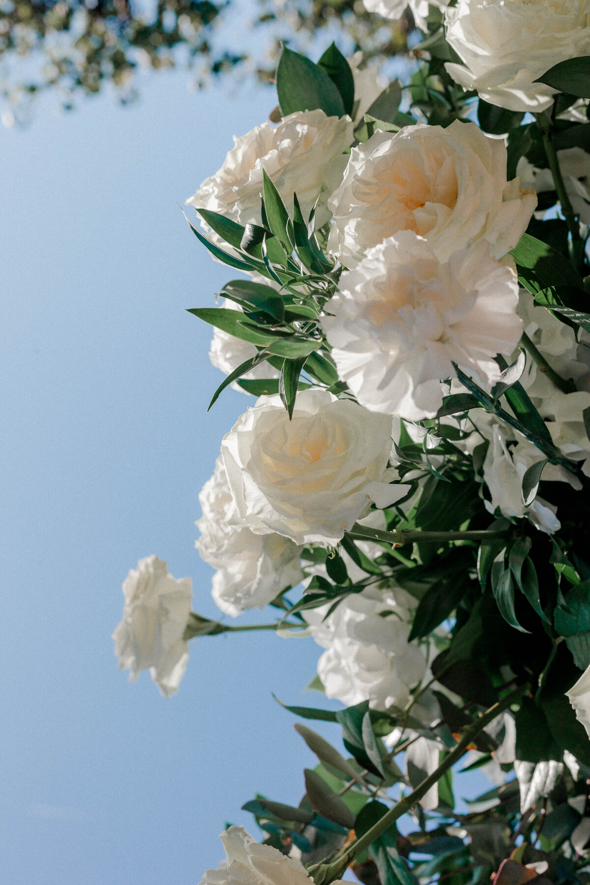 Jake_Lauren_Details-114