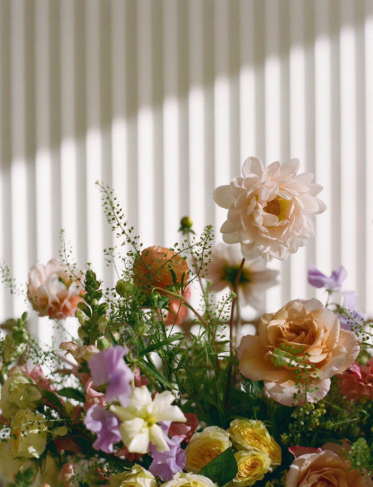 Izzy & Charles_Film Preview-24