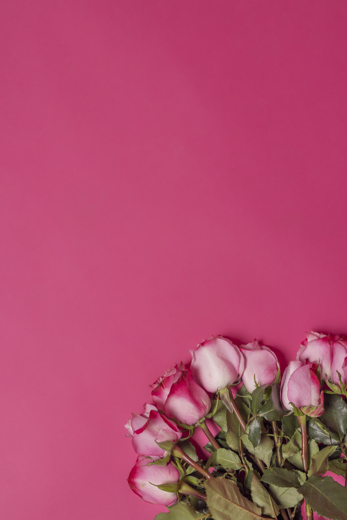Rose-Transformations-cincinnati-personal-branding-photos-Jennifer Blackburn-your-brand-compass-5318