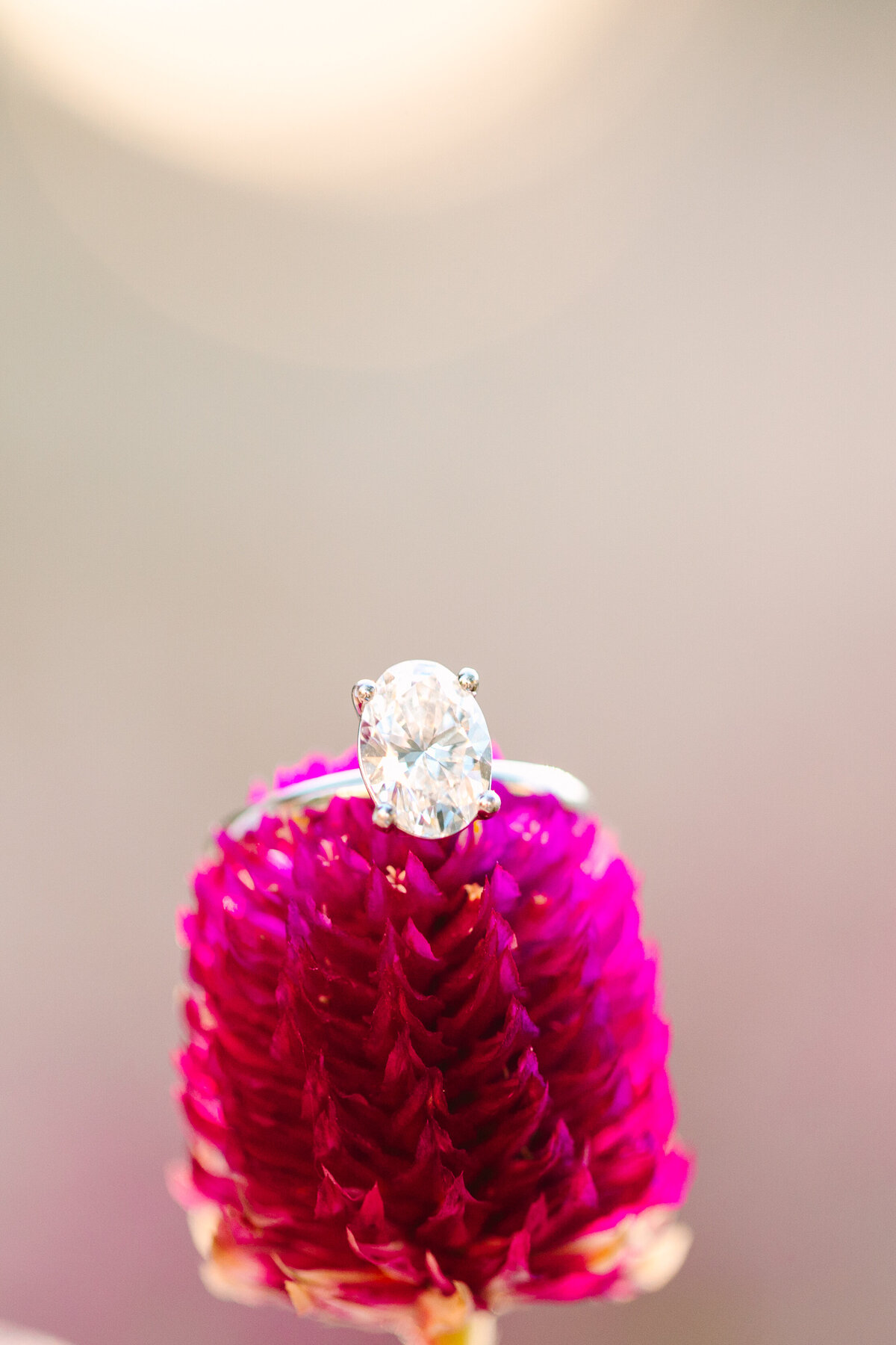 Colonial Williamsburg Garden Proposal Photos