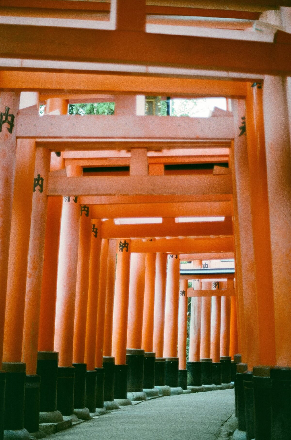 Rainstone Photography 241031 Japan & Seoul Trip-46