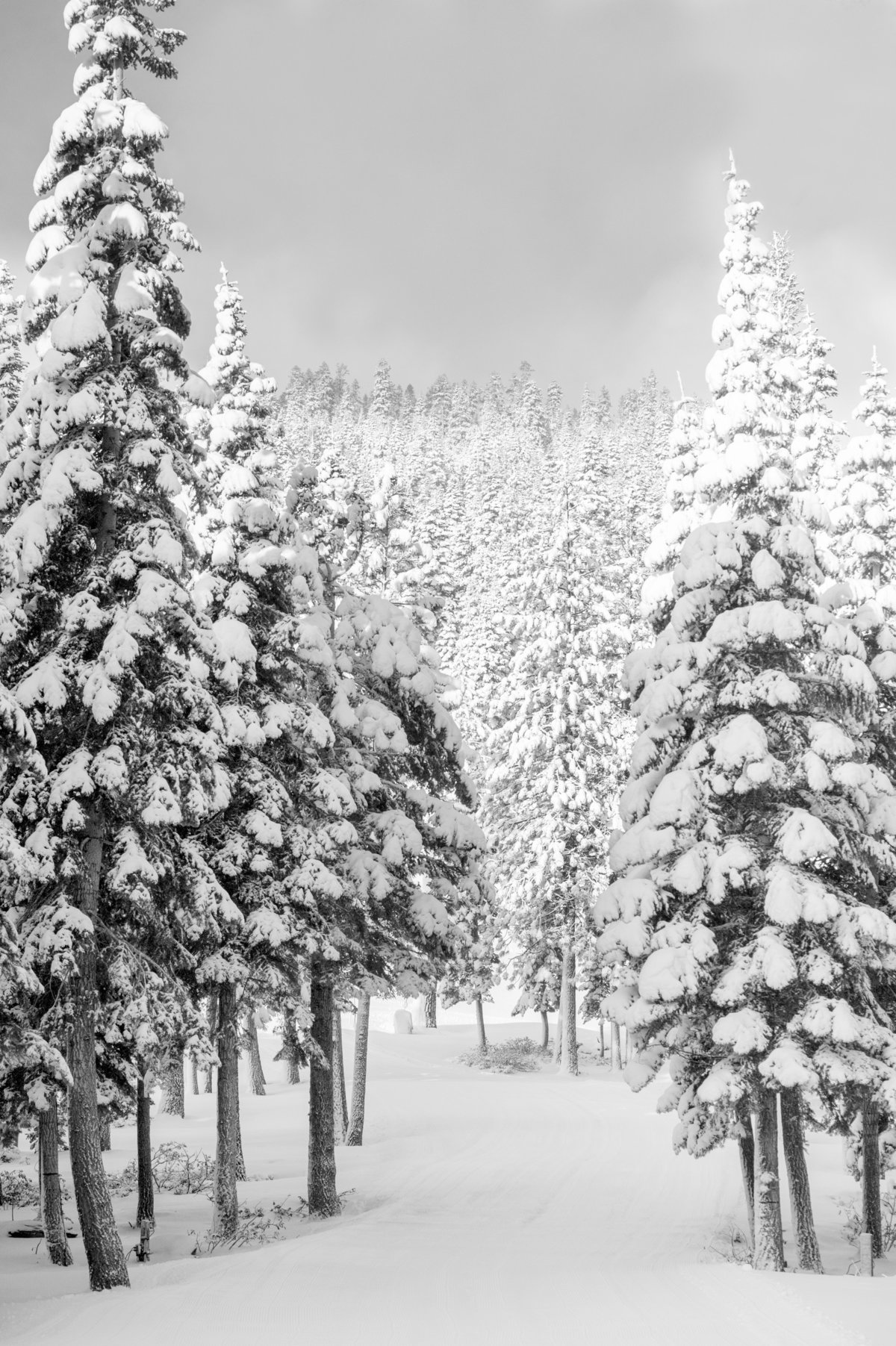 Lake Tahoe, California No004