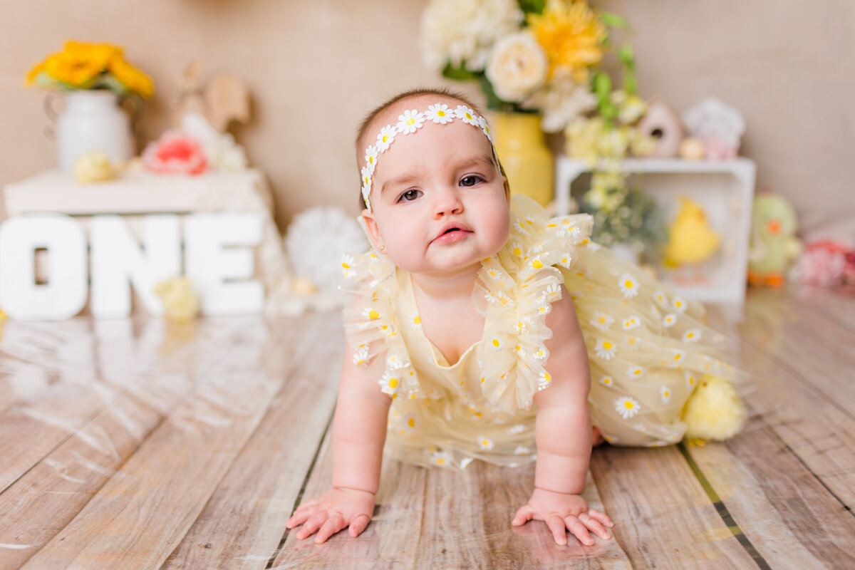 Aria Molzon First Birthday Cake Smash-16