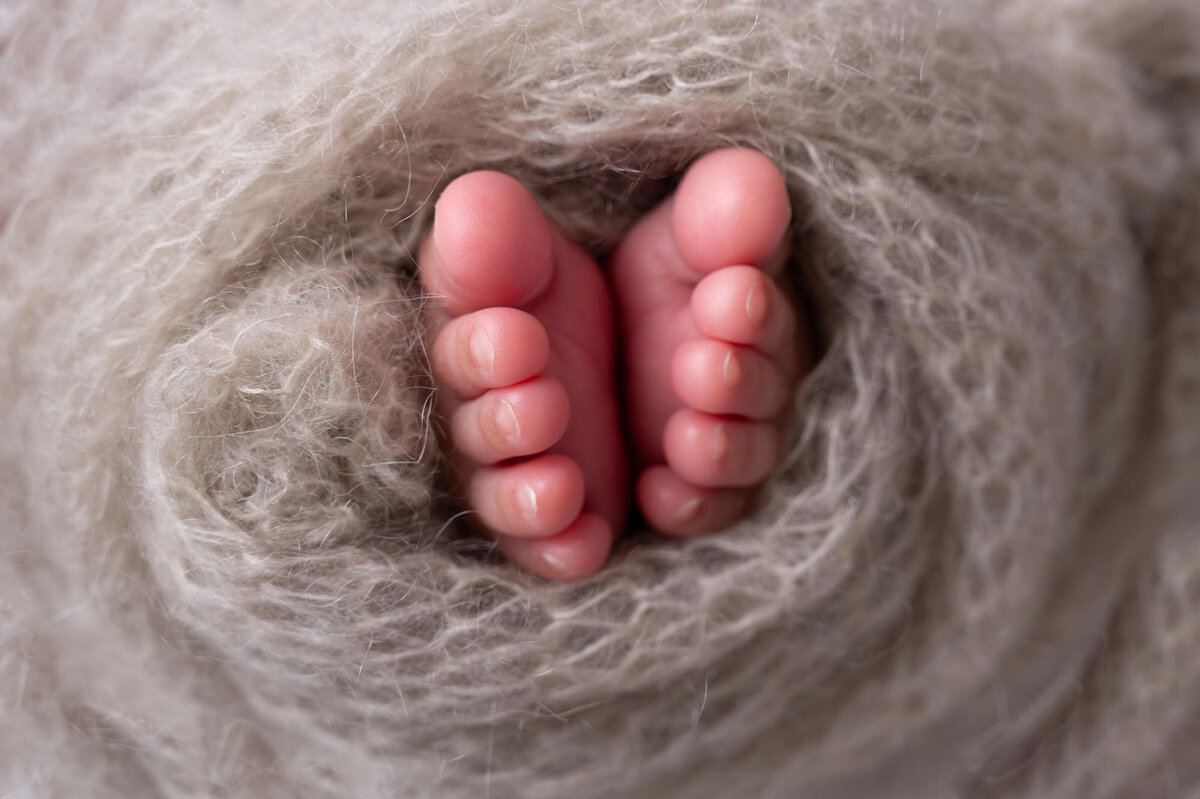 pretoria-newborn-photographer180