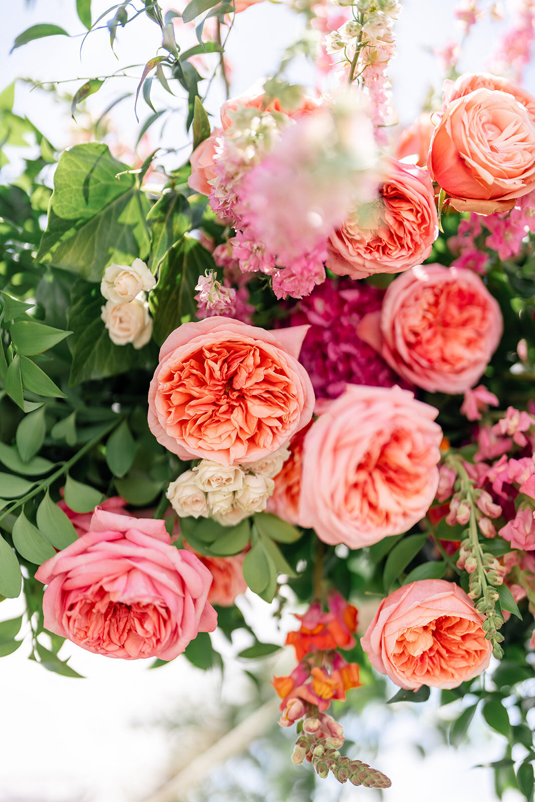 river-bottoms-ranch-june-summer-mountain-wedding-pepper-nix-2408-0528