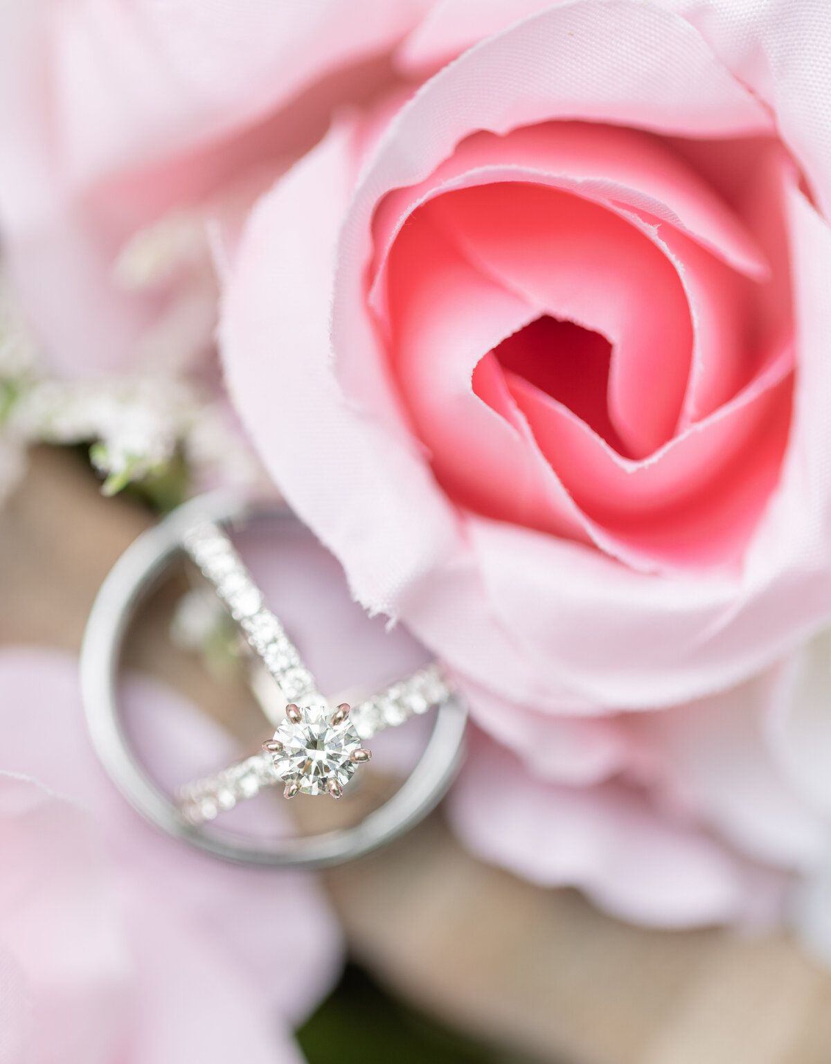 Frozen Moments by Kathy Photography |  Ring with Rose