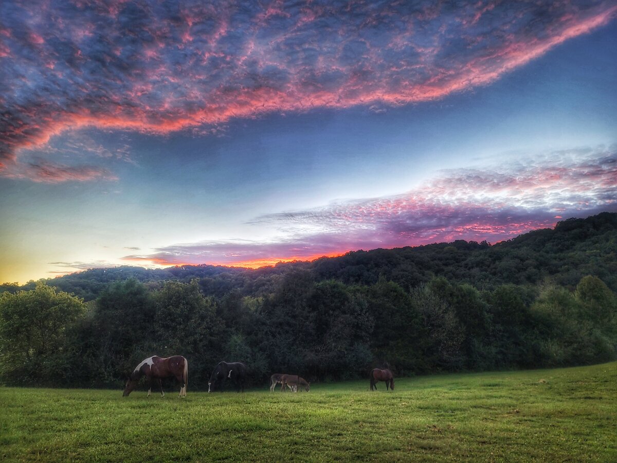 Sunset