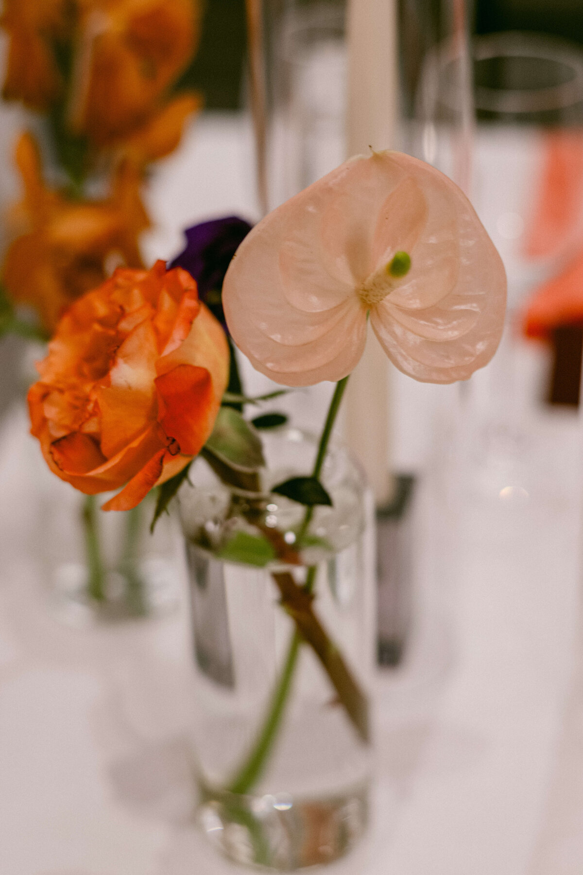 Hotel-Commonwealth-Boston-Wedding-8