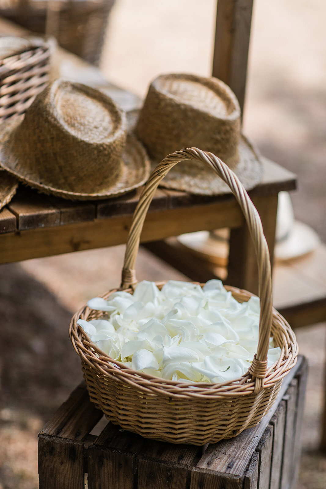 M&J-Chateau-Lacanaud-Wedding-366