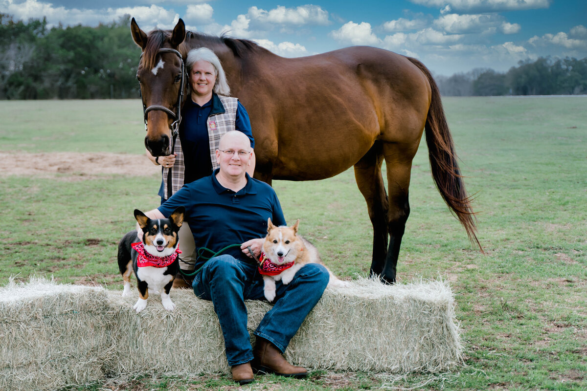 Steph horses-1