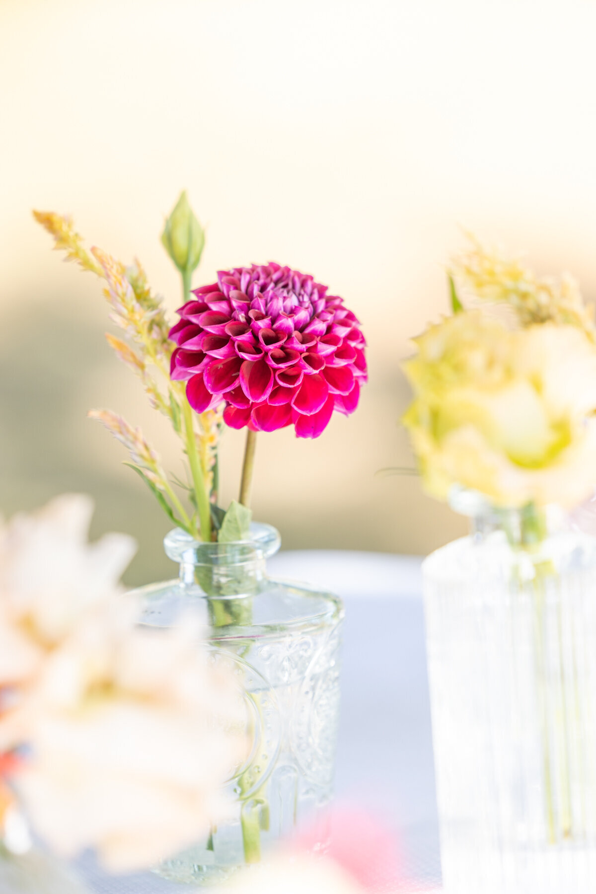 The-Road-Trip-Market-fall2025-Cincinnati-brand-photographer-Your-Brand-Compass-8253