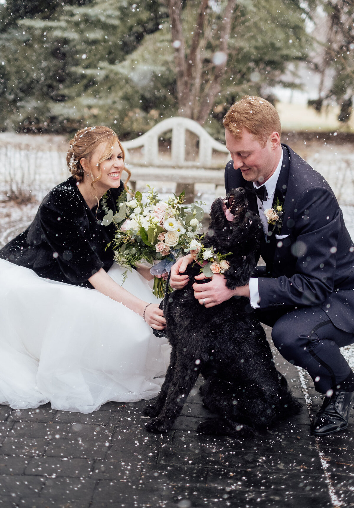 Wedding-Couple-and-their-dog-on-their-snowy-wedding-day