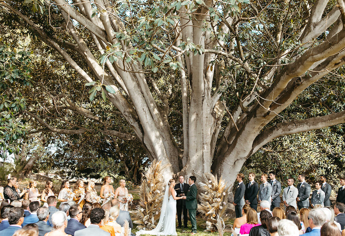CTwedding445
