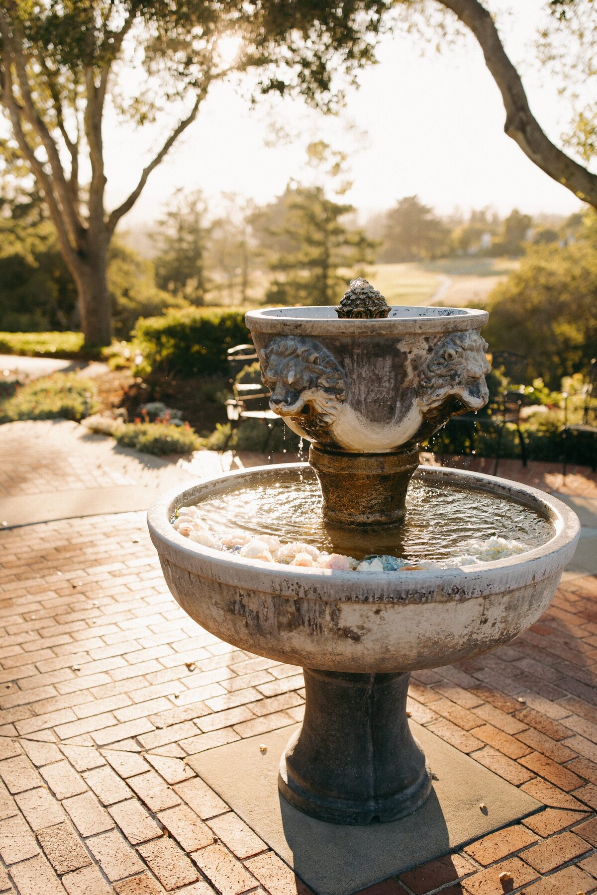hollinshousewedding-megan&nick-848